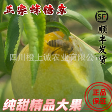 �Ĵ�����������Ó�����߅�t������P�����´�ˮ����S������]