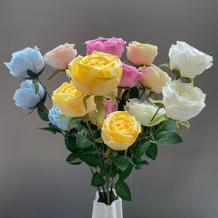 ���^õ����滨��Y·����픾Ƶ��b껨�Ӽґ���羳�tɫ���컨