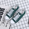 VS-A01 dark green