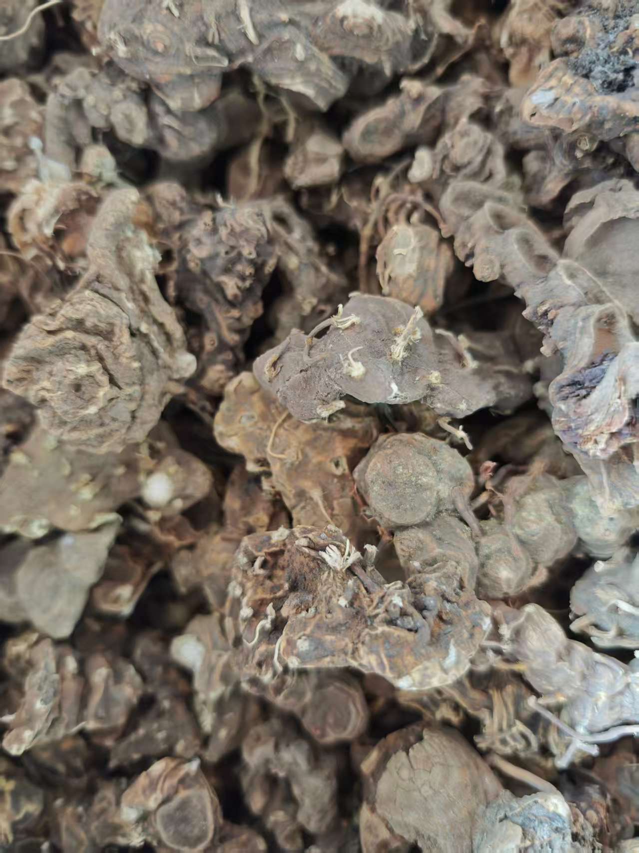 Ba Jiao Lian (Dysosma versipellis) — Dried Chinese Herbal Rhizome, 500g quality and texture
