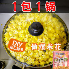 爆米花玉米粒三合一家用自制苞米花美式球形空气炸锅平底锅专用