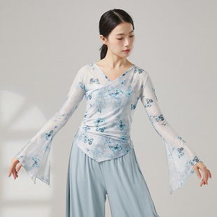 Classical Dance Clothing with Butterfly Print, Chinese Dance Ethnic Dance Clothing, Practice Clothing, Art Examination Top
