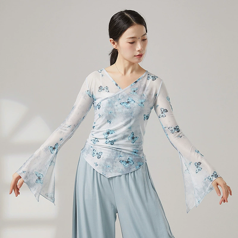 Одежда для классического танца с принтом бабочки, одежда для китайского танца, этническая танцевальная одежда, тренировочная одежда, топ для художественного экзамена