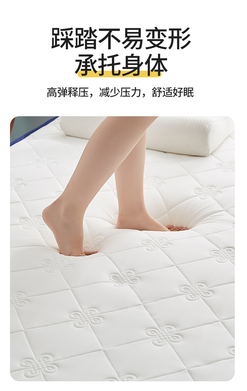 慕棉眠 乳胶床垫榻榻米垫子加厚家用记忆棉软床垫