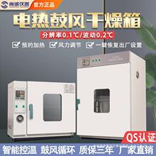 電熱恆溫鼓風干燥箱高溫加熱小型工業烤箱烘干機實驗室烘箱