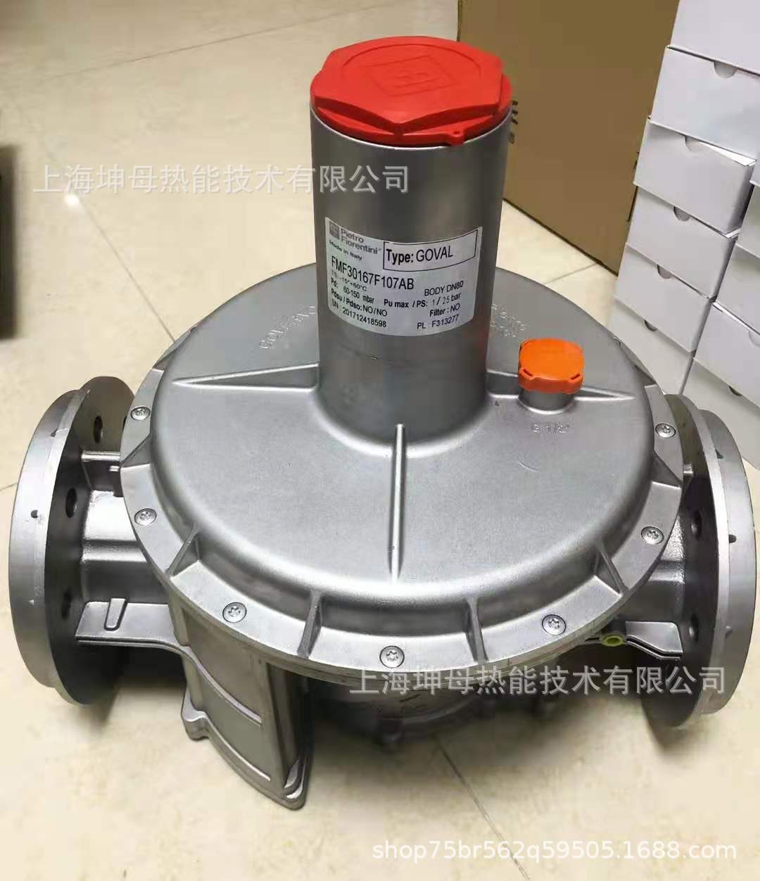 Pietro Fiorentini 菲奥FMF30167F107AB燃气减压阀