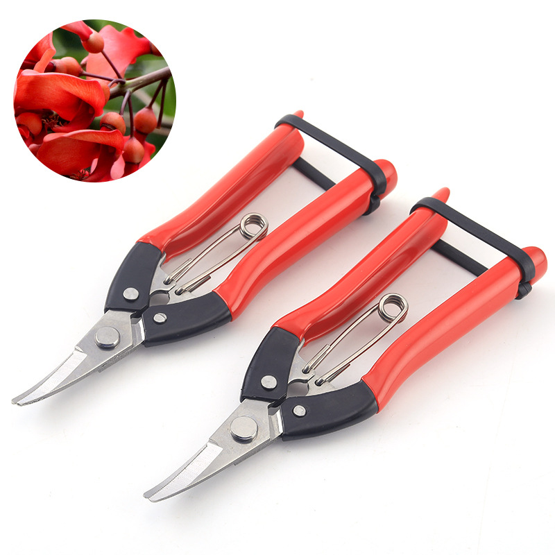 不锈钢花园修枝专用工具剪枝采摘强力剪花艺园林工具树枝剪稀果
