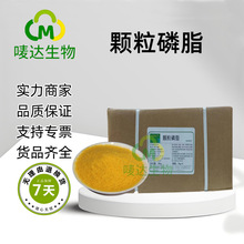 厂家现货批发供应食品级颗粒磷脂营养强化剂大豆卵磷脂食品乳化剂