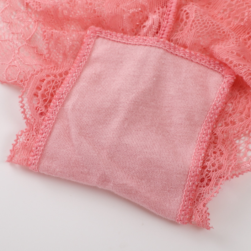 Pantaleta de Encaje de Tiro Bajo para Mujer de Nailon Sin Costuras