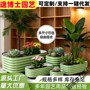 ���ٷNֲ����ƄӲ˿��仨�軨�ۑ����̨��ͥԺ��픷N���߲˴�