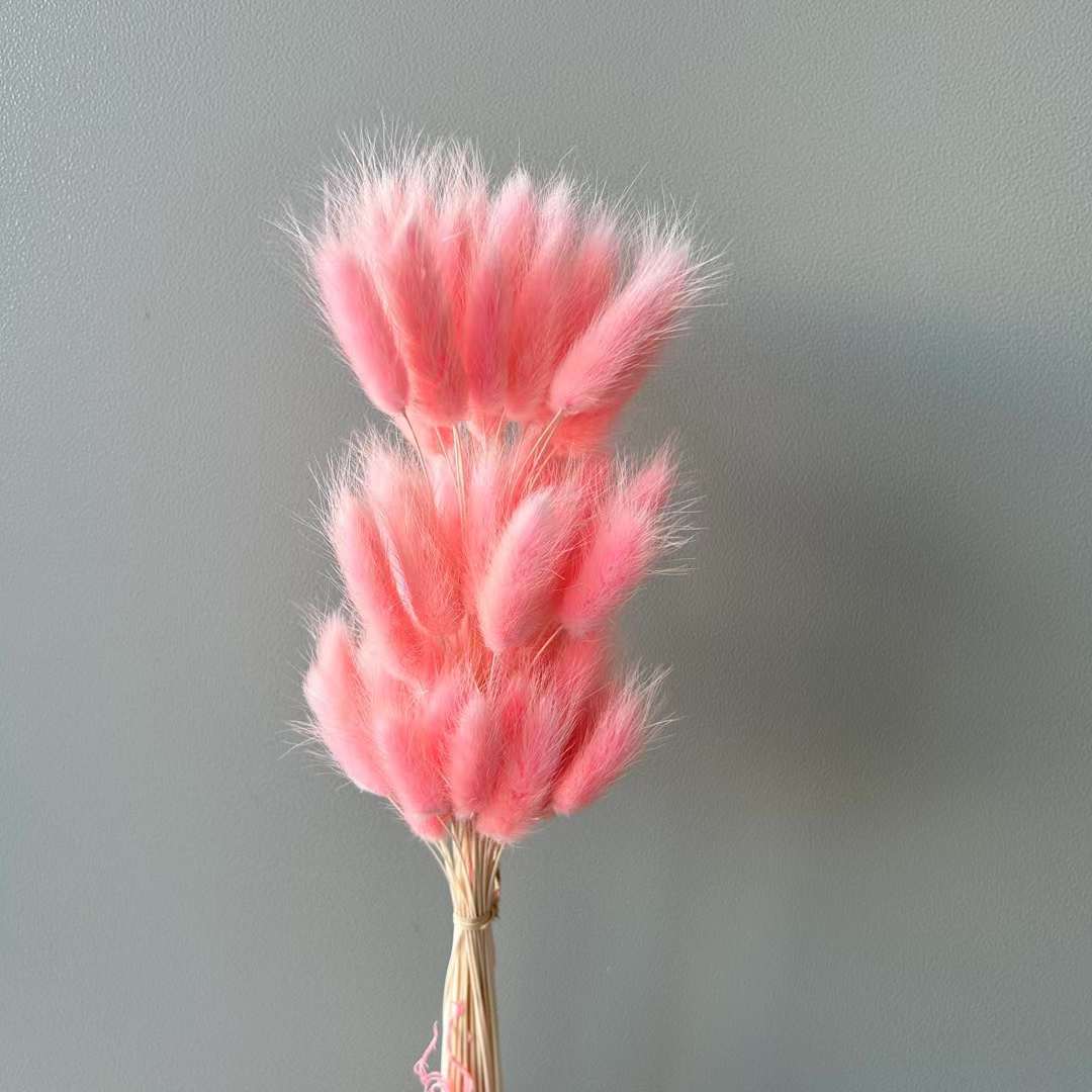 Вишневая пыльца / 60 головок/прядей