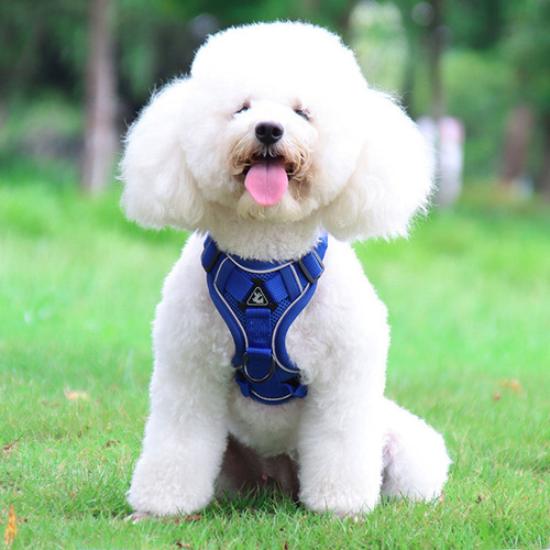 New Pet Cat and Dog Harness and Back Vest Set with Mesh Comfortable Adjustable Back Harness-Style Anti-Explosion Clothing