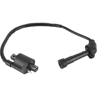 Yamaha Grizzly 660 Yfm660 – Alovlanma bobini (Babinalar)