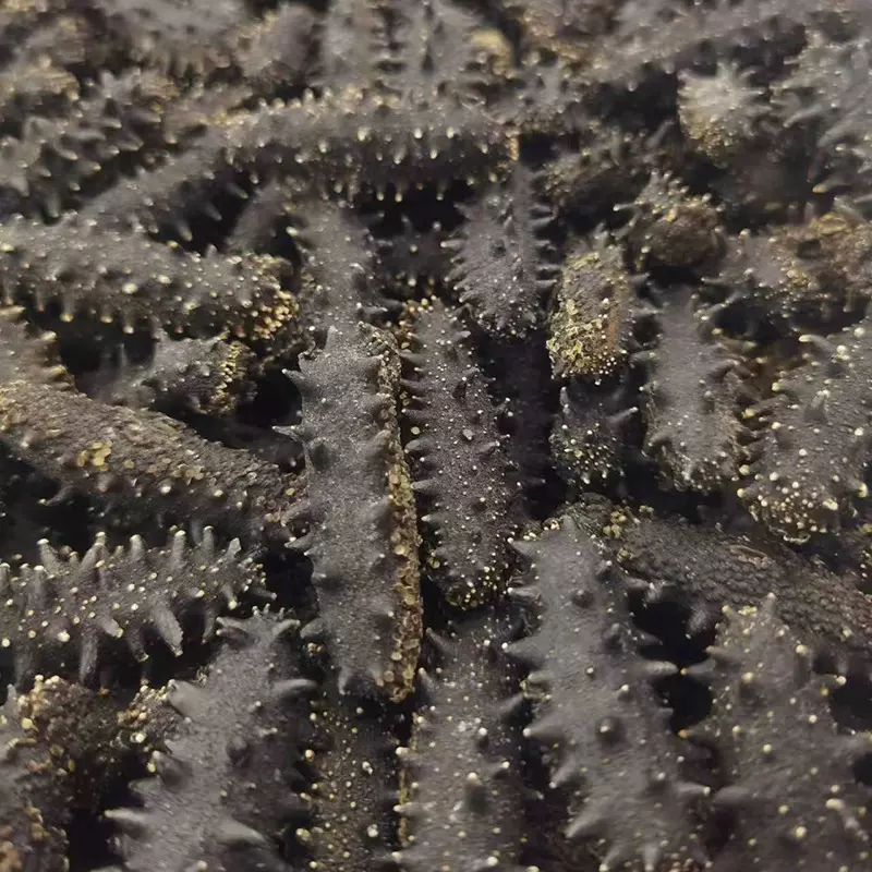 大连淡干海参深海底播高刺参非即食辽参干货礼盒装刺参50g辽刺参