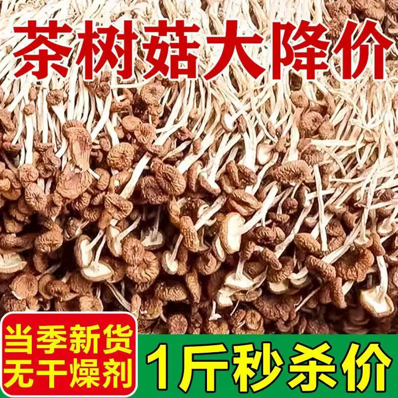 茶树菇干货特级500g古田新鲜干菇类批发炖汤煲汤香菇官方旗舰店