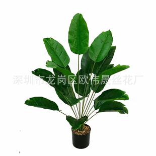 �S��ֱ�N�羳���W����Gֲ18�^�Ž��~���˽����߼Ҿӑ���[��