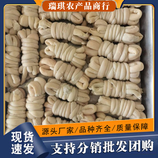 �����c�W�t���c�����cȦ�������c����ˮ�������c������l�羳���