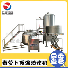 苦荞麦片低温油炸机 菠萝蜜脆片加工生产线 全自动香酥鱼油炸机器