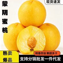 山东蒙阴黄桃油桃应季新鲜水果当季蜜桃脆桃整箱包邮孕妇脆甜多汁