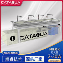 崇睿尤先科孵化器 鱼卵孵化 室内实验室鲟鱼鱼苗孵化设备