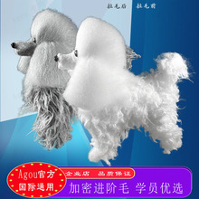 贵宾犬布朗熊假毛模型剪毛泰迪宠物美容训练用毛比熊宠物店小型犬