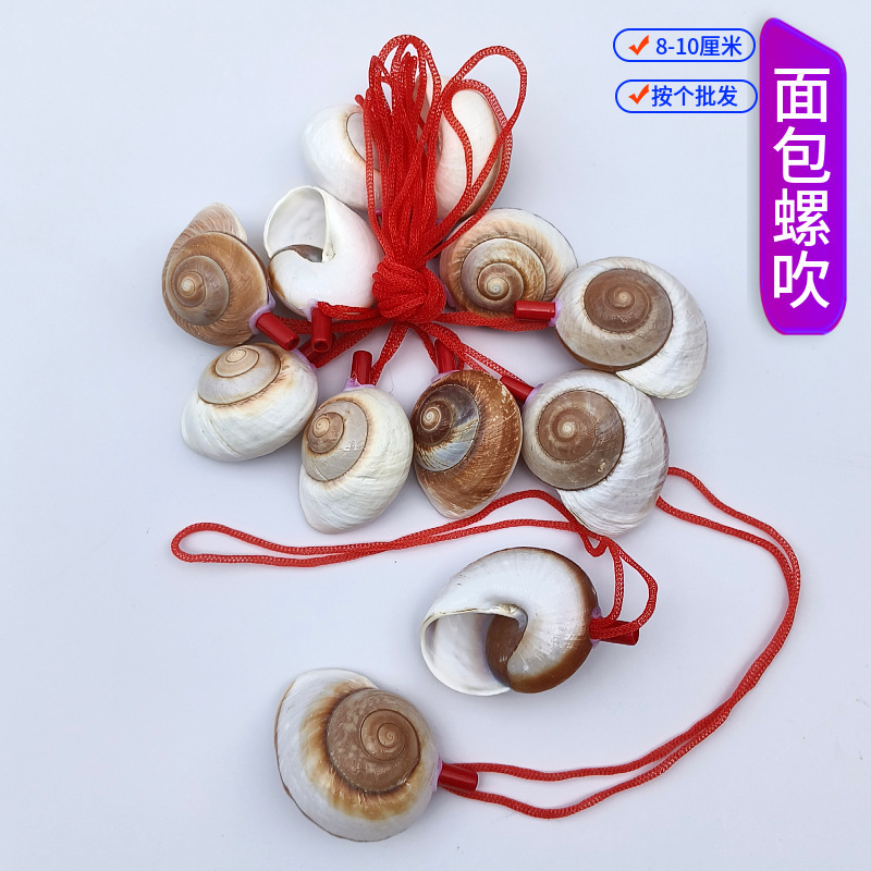 露店の装飾品、さまざまな貝殻、巻貝の工芸品、貝殻、巻貝の笛、子供のおもちゃ、巻貝の笛の卸売|undefined