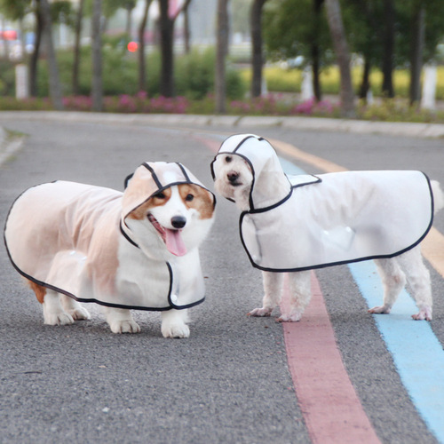 Pet it tpu puppy raincoat poncho teddy dogfight Shiba Inu corgi pet transparent raincoat small dog