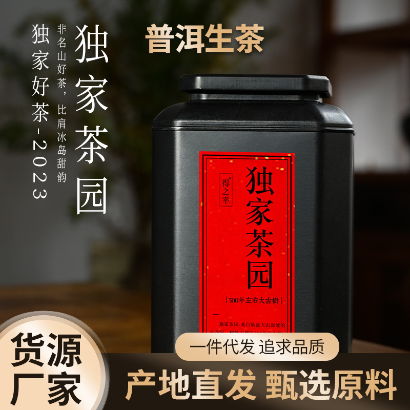 500 years old tree picking pu'er raw tea in stock wholesale taste cool Pu'er tea raw tea private tea garden