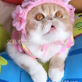 2025夏季新款宠物猫咪头套 小动物造型   可爱猫猫头套桃花帽