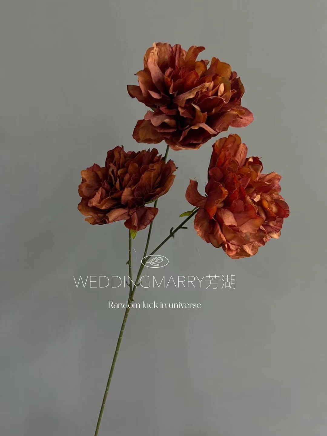 微信图片_20240928091216