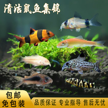 ���~ЦĘ؈�����~�����~���������������̦���������Ꭷ�~���w