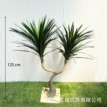 ������Ѫ��Gֲ����䁆�R�d�FѪ������ԾG�F��͏d��ؔ[��ֲ��
