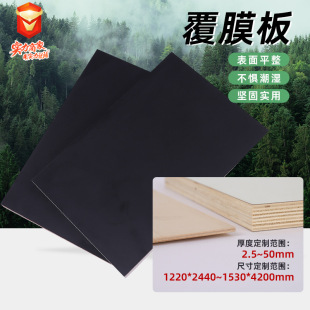 Դ�^�S�ҹ���ľ�幤�ػ�����֧ģ���ɫ��Ĥ�彨�Bģ��