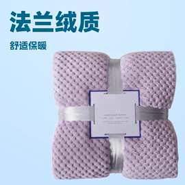 跨境现货加厚纯色法兰绒毛毯 珊瑚绒沙发盖毯 露营毛毯午休毯