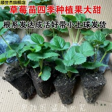 Ծþ ļݮϱ̨҃ ѨPݮ