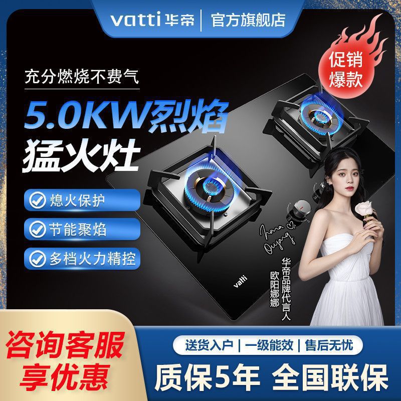 华帝燃气灶i10073B天然气双灶家用猛火灶台嵌两用煤气灶液化气灶