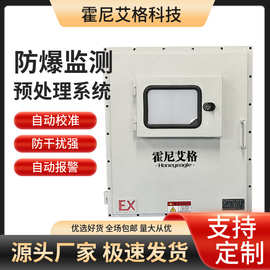 防爆氢气气体检测仪在线监测预处理系统非甲烷总烃厂界N2监测系统