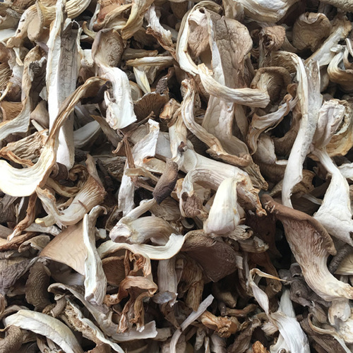 Pleurotus ostreatus strips, fresh mushrooms from farmers wholesale, Yunnan-produced oyster mushrooms, phoenix tail mushrooms, north wind mushroom strips, can be shipped on behalf of