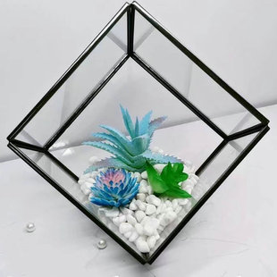 Factory Direct Sales Glass Flower House Geometric Square Beveled Square Box Micro Landscape Glass Cover Geometric Art