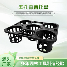 �@ˇ5���м�����Ѩ�P�����m�бP ������������m���Ƅ����D�P���l