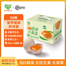 �Ҹ��r������ʳ�o����30ö��ʽ�I�B���ĸ���DHA�~�S�������r�u��