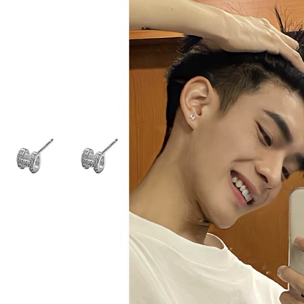 C410 pair of earrings
