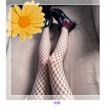 �F؛���l�Bѝ�m���Ŀ�W�mŮʿ�z�m�W���Ը��L���~�W���m��荏S��