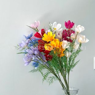 5�^�ʺ��˹�� ���滨��@��˹����Ұ�r�ո�ɣ����c�Ĕz���߻�