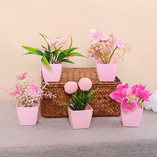 ����ֲ�����ԽM��1��5����������С���Է�ɫ�Ҿ��b���������ֲ��