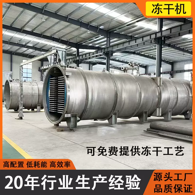 桑葚果冻干机龙眼草莓大型商用真空冷冻干燥机牛油果低温冻干设备