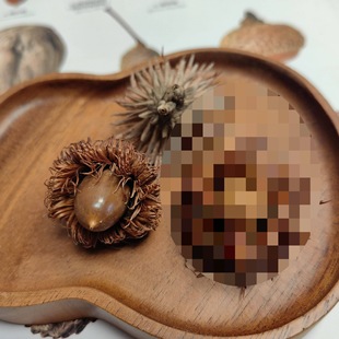 �Θ� ������������N��ֲ��˱���Ȼ��ñ�������b[���ɻ�