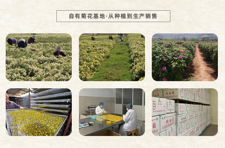 公司介绍详情上端_03