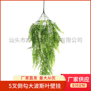 �S�����l����ֲ��5�浹���в�˹������Gֲ�����b��ٗl���m����