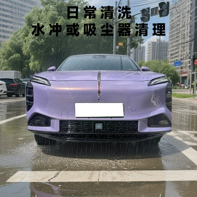 Hongqi Tiangong 08 snap-on Automobile anti-insect net